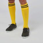 STRIPED SPORTS SOCKS-PA015