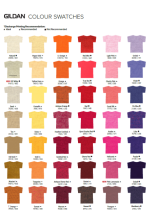 STYLE & COLOR GUIDE 2024 - Image 3